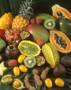 Frutas exoticas y tropicales.