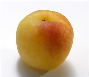 Albaricoque de huerto.