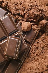 Cocoa powder and pieces of chocolate (detail)