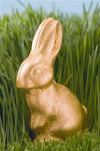 Easter Bunny in grass