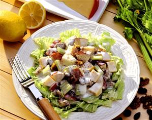Apple & cheese salad with celery, nuts & raisins on savoy