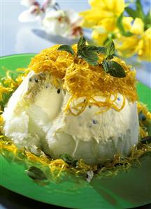 Tropical Dream ice cream cake (with fruit & crème fraiche, 1)