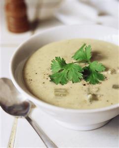 Cream of celery soup