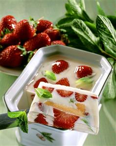Strawberry and honeydew melon jelly