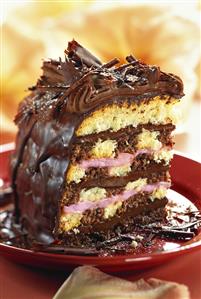 A piece of Reifentorte (chocolate cake) with chocolate icing
