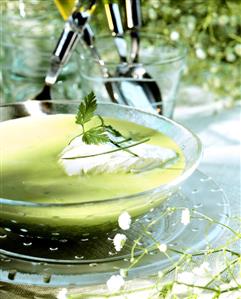 Spring cream of herb soup