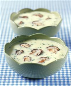 Bramborová (potato soup with mushrooms, Czech Republic, 1)
