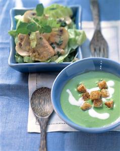 Spinach soup and croutons, lettuce, turkey breast & mushroom (1