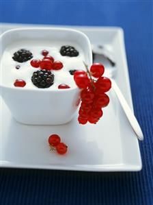 Yoghurt with fresh berries in small bowl