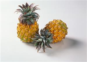 Two baby pineapples