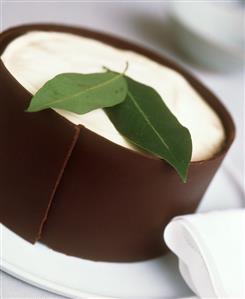 White mousse fancy
