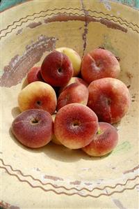 Fresh vineyard peaches in bowl (overhead view)