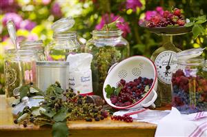 Still life with berries and preserving jars