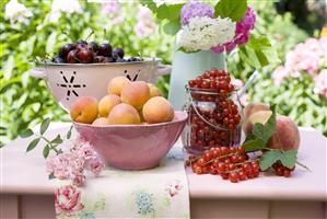 A selection of fruit on a table in a garden