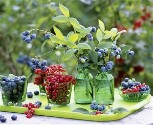 Redcurrants and blueberries in green glass containers