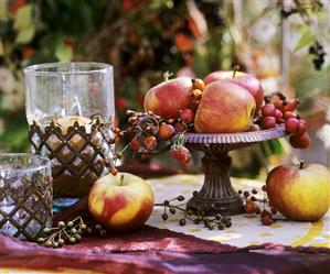 Fruit in iron bowl: apples & ornamental apples, rose hips