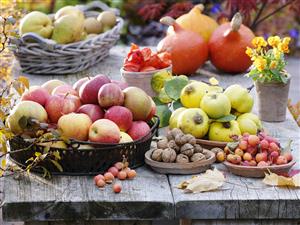 Still life with pip fruit, walnuts, crab apples and Hokkaido squashes