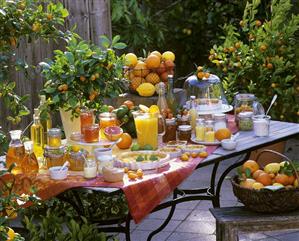 Still life: citrus fruit & citrus fruit dishes out of doors