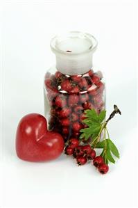 Haws (hawthorn fruits) with red heart