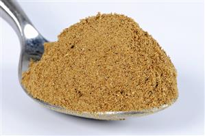 Amchur (mango powder) on a spoon