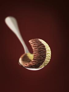 Chocolate and vanilla ice cream