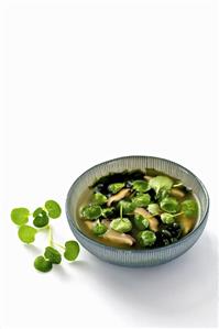 Miso soup with nettles in an Asian bowl