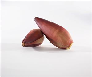 Two banana flowers