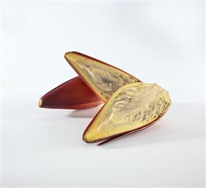 Banana flowers, whole and halved