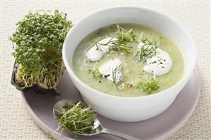 Cream of vegetable soup with herbs