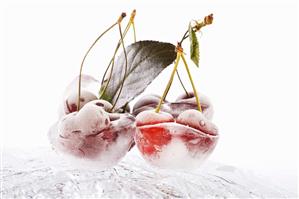 Cherries in ice