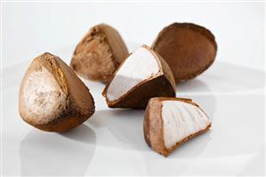Fruit of the Andiroba tree (Carapa guianensis)