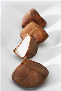 Fruit of the Andiroba tree (Carapa guianensis)