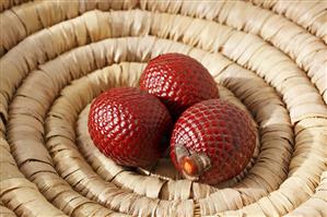 Fruit of the Moriche palm (Mauritia flexuosa)