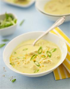 Curried chicken soup with spring onions