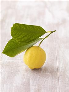 Lemon with leaves