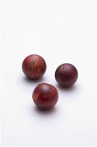Three Camu Camu fruits (Fruit very rich in vitamin C, Peru)