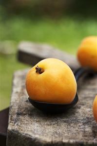 Apricot on spoon out of doors