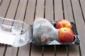 Mouldy nectarines in opened packaging