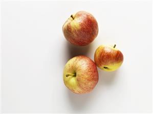 Three cooking apples