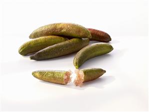 Australian finger limes (Microcitrus australasica)