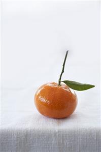 A mandarin orange
