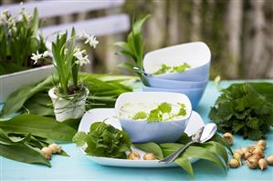 Nettle soup