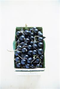 Black Currants