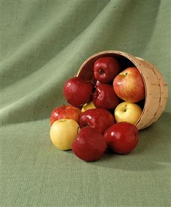 Basket of Assorted Apples