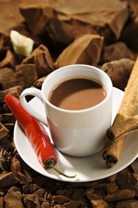 Mug of Mexican Hot Chocolate; Cinnamon and Chili Pepper