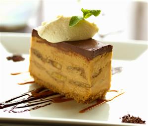 Slice of Chocolate Peanut Butter Mousse Pie