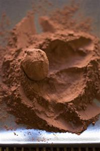 Chocolate Truffle in Cocoa Powder