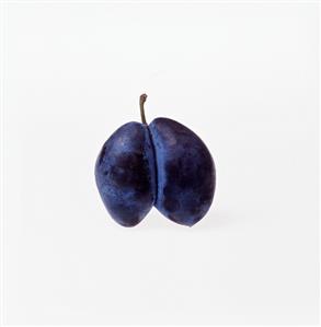Single Plum on White Background