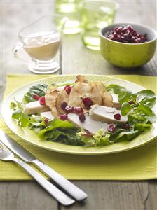 Ensalada de pollo con manzana, cranberries y salsa rosa. Receta disponible TR