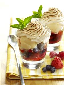 Marinado de helado de bayas salvajes con merengue quemado. Receta disponible.